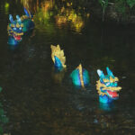 Nagas in Blackaton Brook