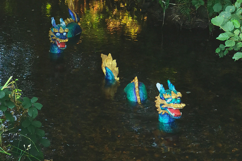 Nagas in Blackaton Brook